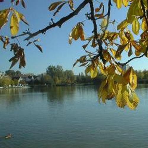 Test Image 1